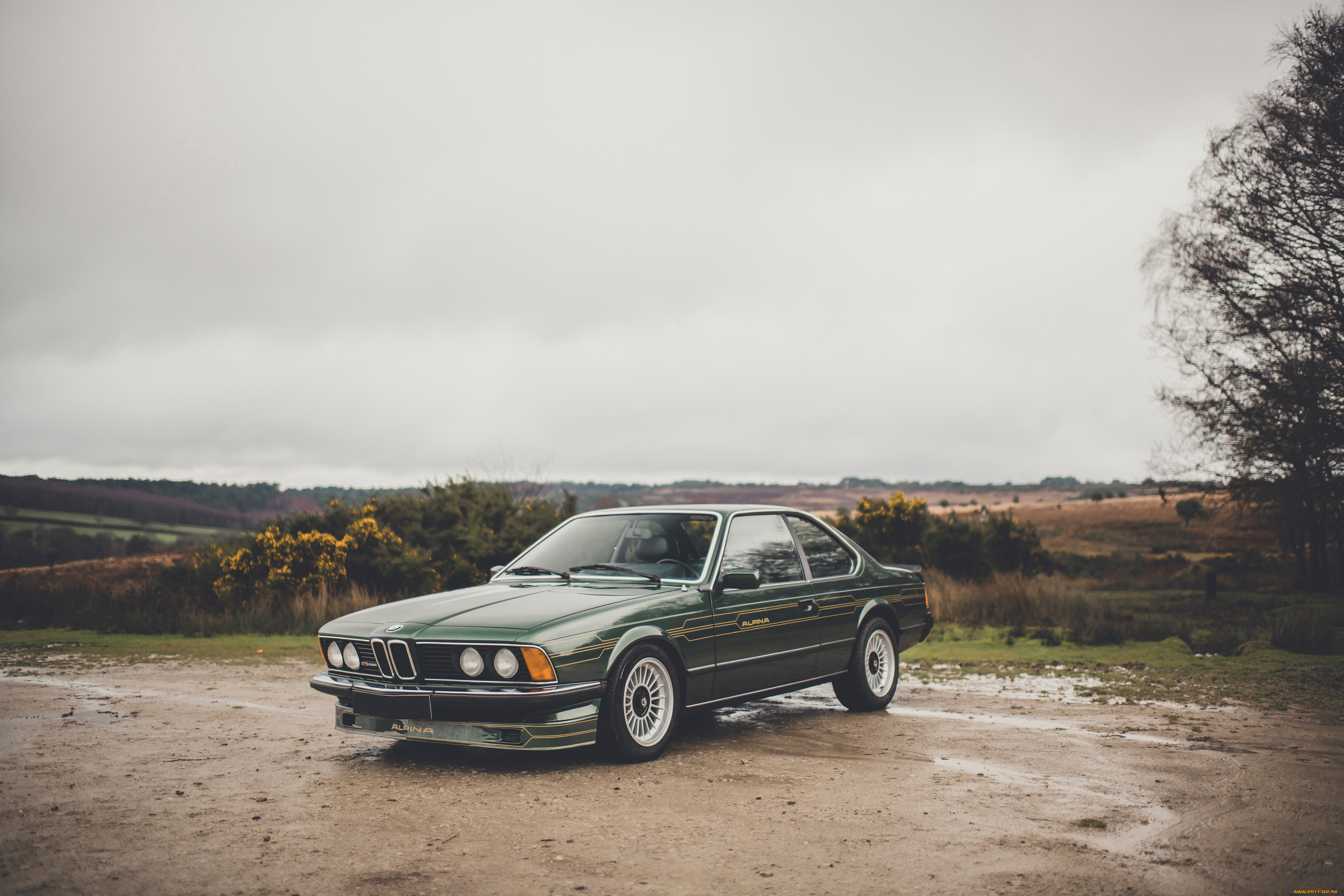 , bmw